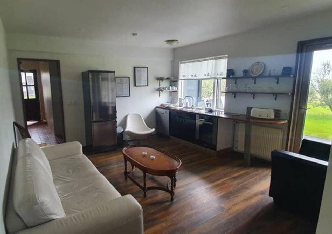 Borealis Lodges 셀포스 외부 사진